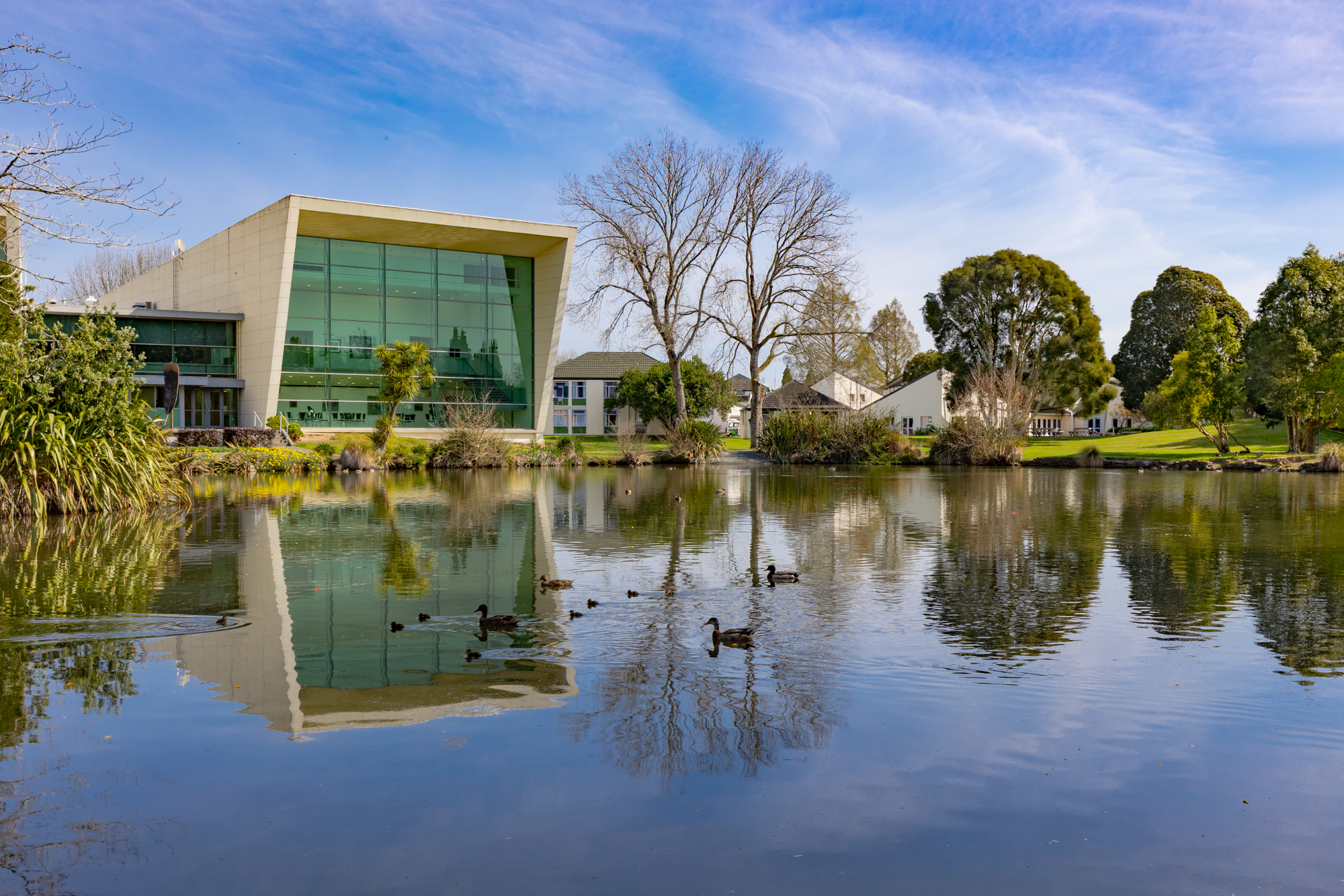 8467 photos of blossoms around campus 6