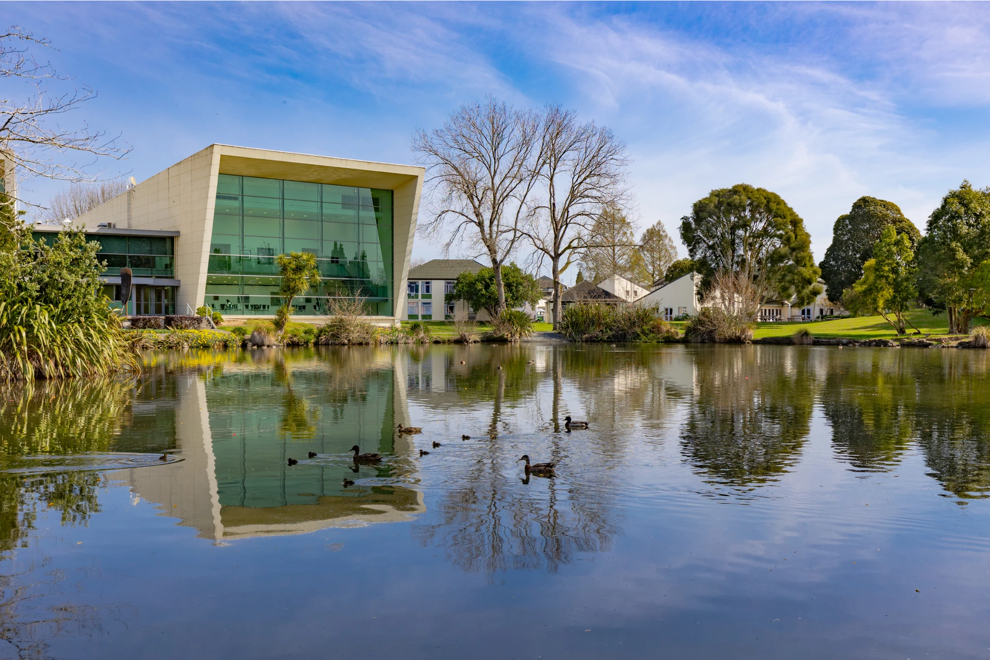 looking-at-gallagher-building-across-lake