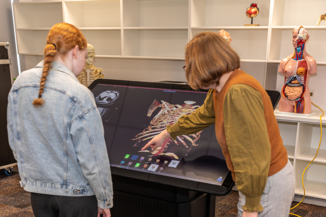 The University of Waikato's new virtual dissection table in use in the Division of Health