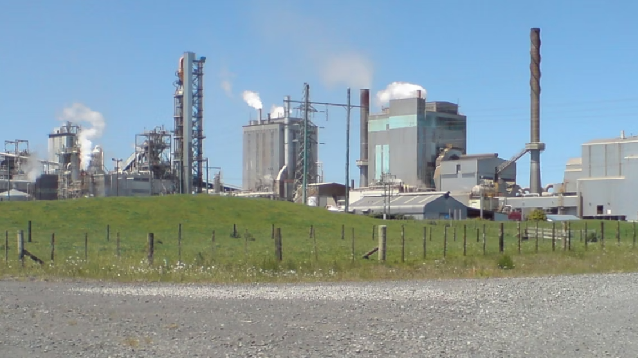 Tokoroa   The Conversation