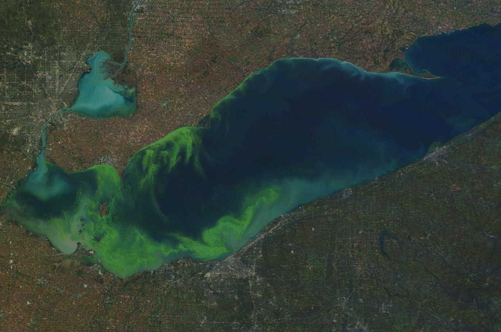 lake erie algae bloom october 2011