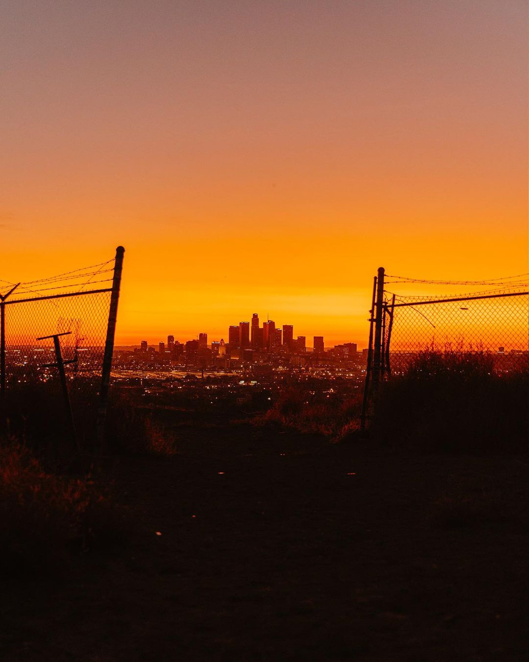 city sunset banner