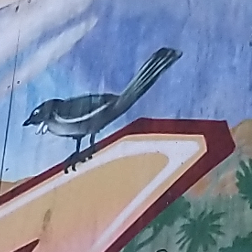 tui square