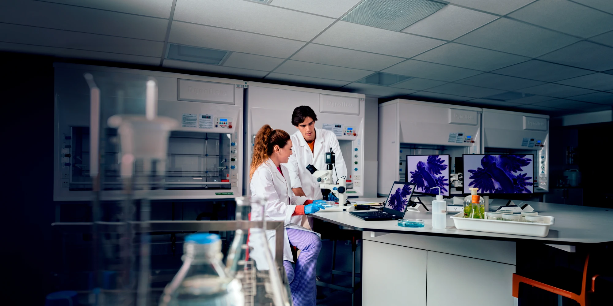 bachelor-master-of-science-lab