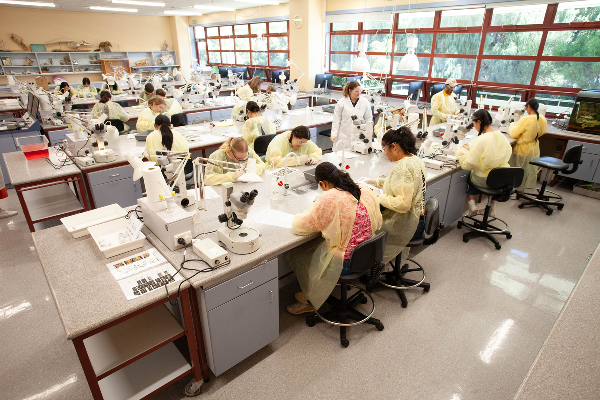 experience science sblock