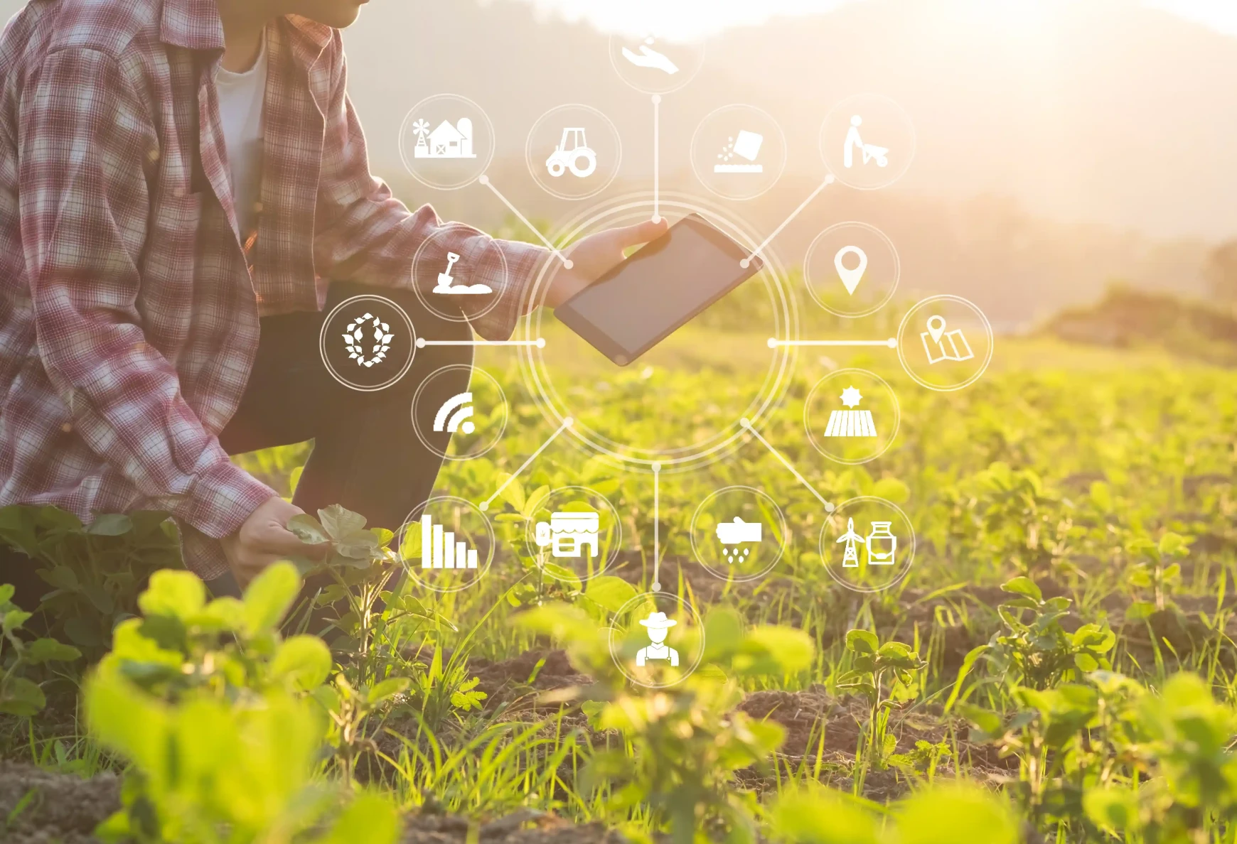 Agribusiness