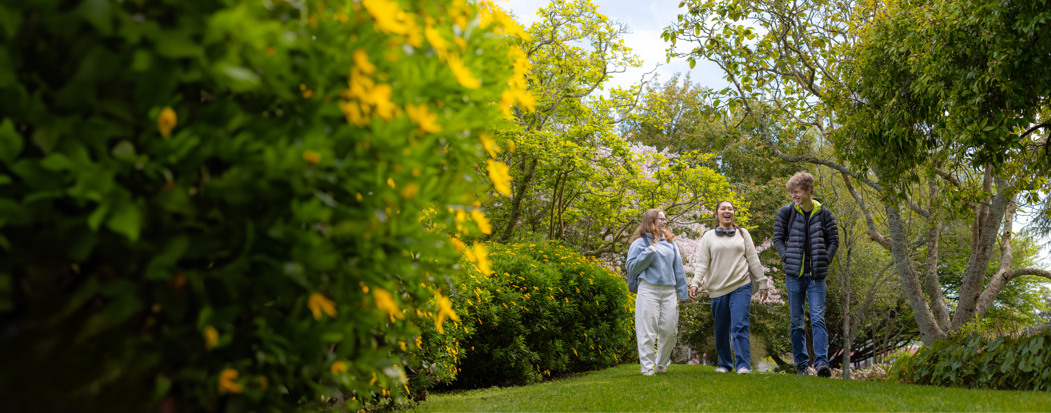 three-students-walking-outside-trees